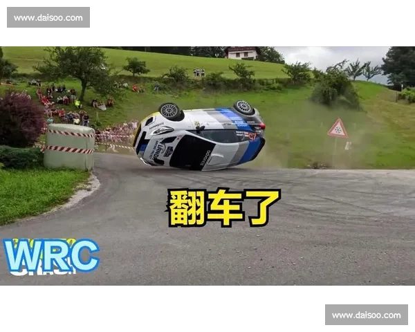 极限操作！WRC车手们用生命在漂移，看得我热血沸腾！